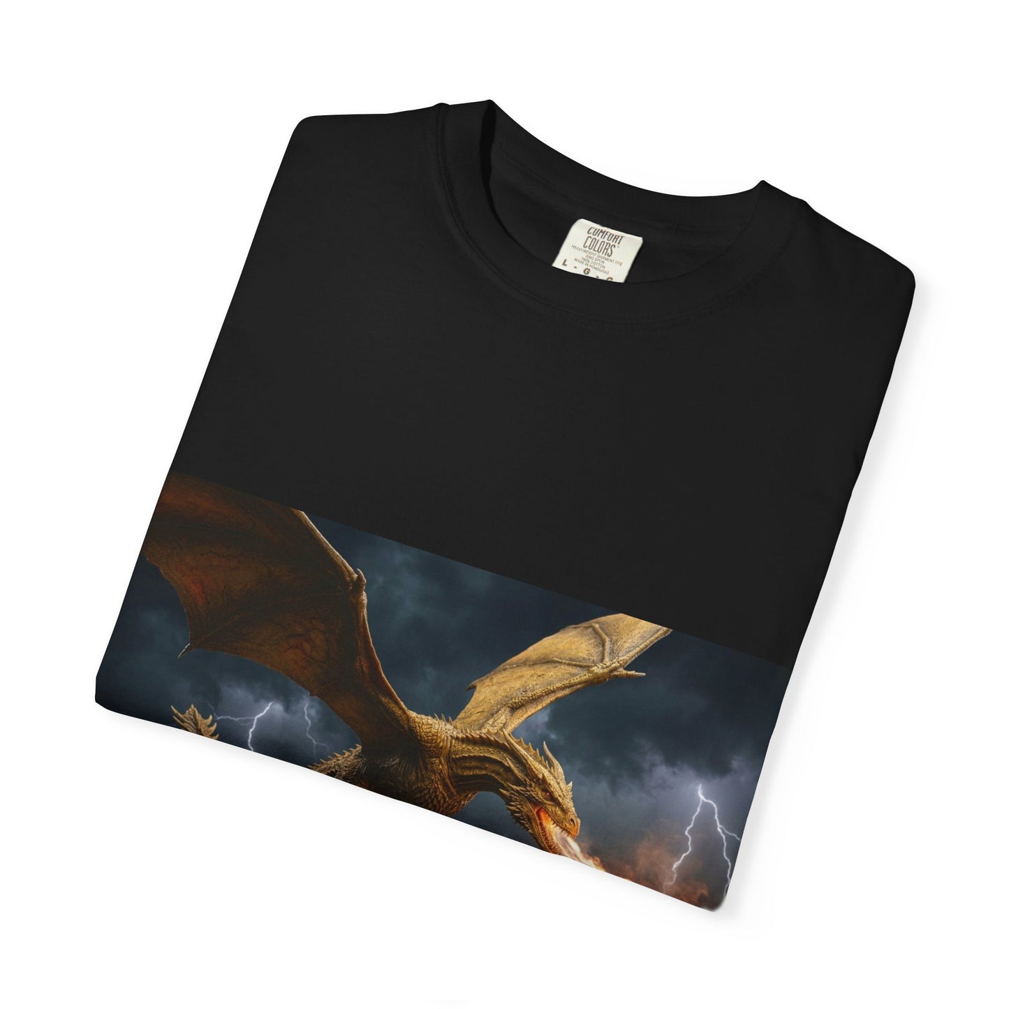 Dragon Unisex Garment-Dyed T-shirt